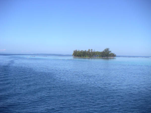 PICT0006-1
