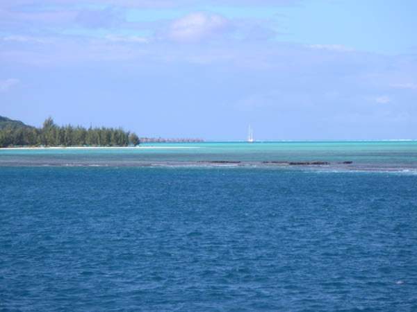 PICT0008