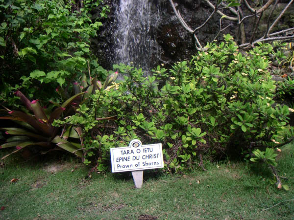 PICT0070