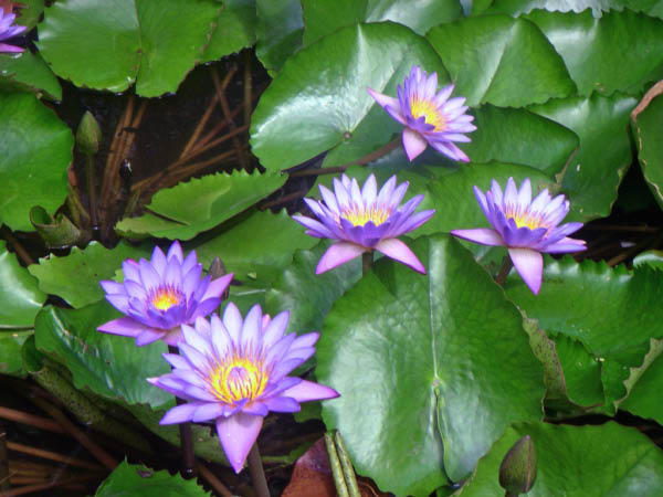 PICT0071