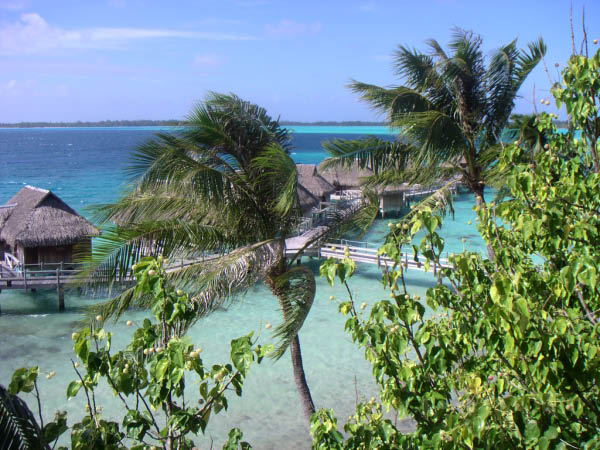 PICT0079