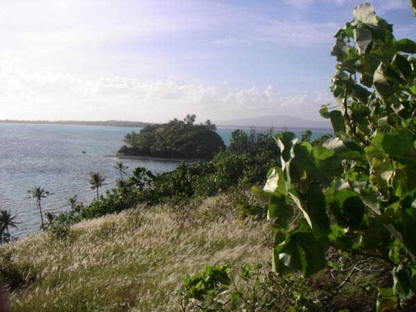 PICT0090