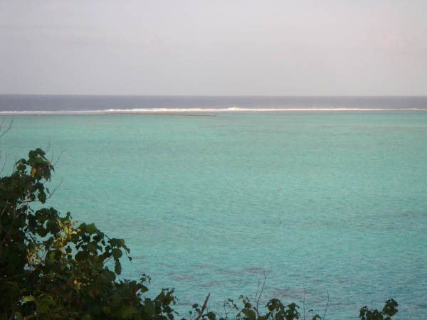 PICT0093