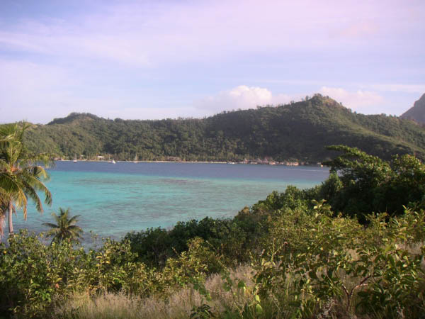 PICT0095