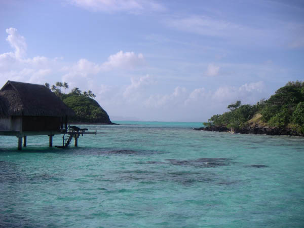 PICT0098
