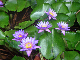 PICT0071