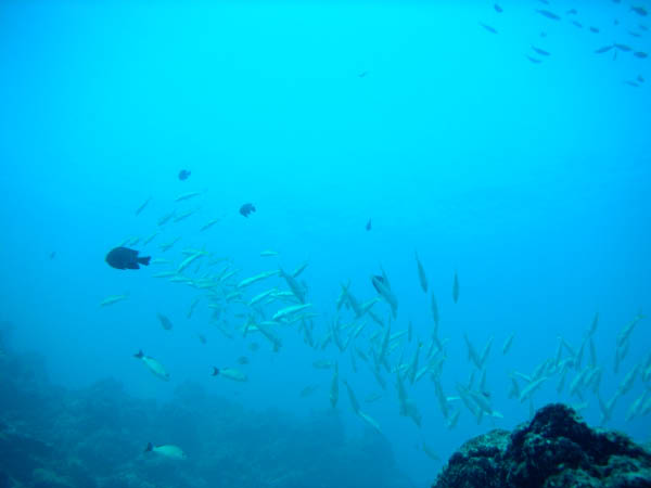 PICT0006-2