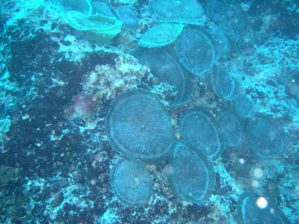 PICT0007