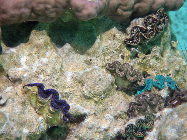 PICT0009