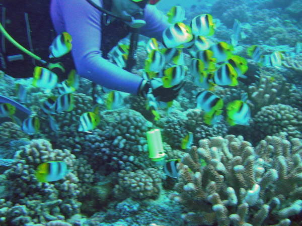 PICT0011-1