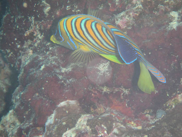 PICT0015-1