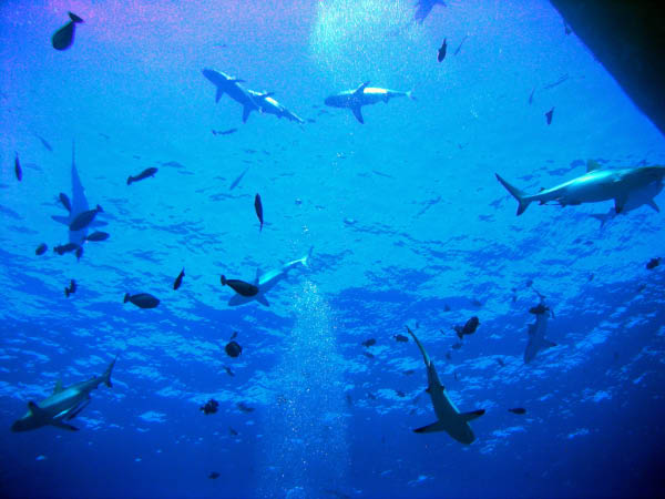 PICT0015-2