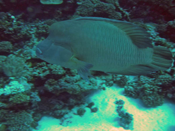 PICT0015-3