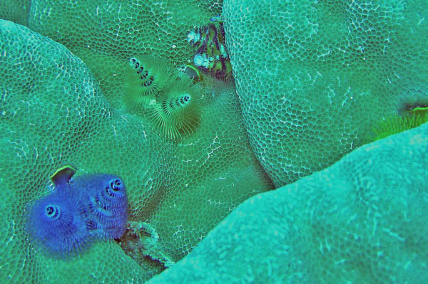PICT0016