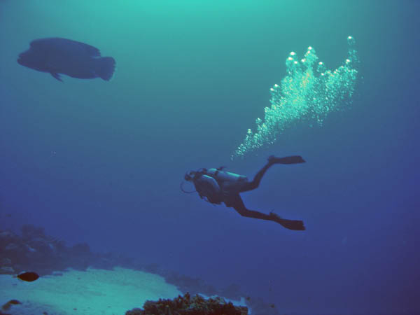 PICT0018-1
