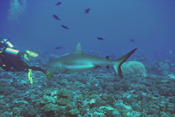 PICT0019-1