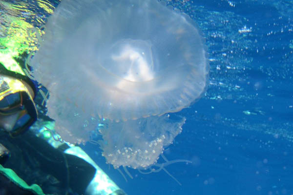 PICT0045