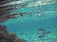 PICT0002